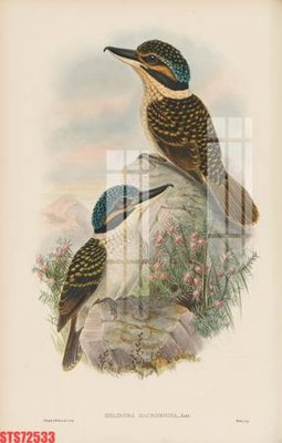 File in ấn Tranh sơn dầu phương tây tổng hợp STS72533 chuyên nghiệp