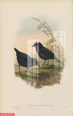 Tải file gốc Tranh sơn dầu phương tây tổng hợp STS72539 (in không vỡ ảnh)