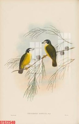 Mua file gốc Tranh sơn dầu phương tây tổng hợp STS72540 (chất lượng) tại Filetranh.com