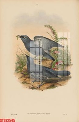 File tranh in mica Tranh sơn dầu phương tây tổng hợp STS72545 (độ phân giải cao)