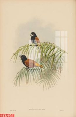 Tải file Tranh sơn dầu phương tây tổng hợp STS72548 (gốc) làm file tranh quảng cáo