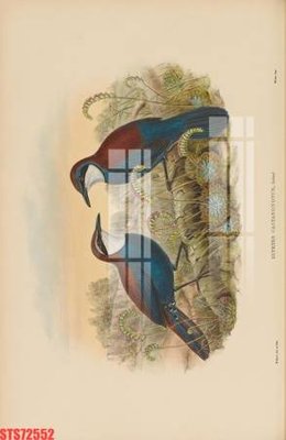 File tranh gốc Tranh sơn dầu phương tây tổng hợp STS72552 chủ đề hiện đại