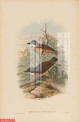 File gốc Tranh sơn dầu phương tây tổng hợp STS72554 (dành cho quảng cáo)