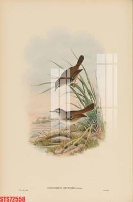 File gốc Tranh sơn dầu phương tây tổng hợp STS72558 (cho in ấn) độc quyền