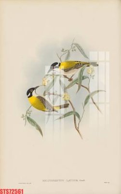 File gốc Tranh sơn dầu phương tây tổng hợp STS72561 (trang trí) phòng làm việc