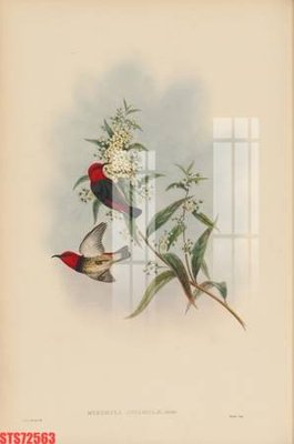 Tải file tranh gốc Tranh sơn dầu phương tây tổng hợp STS72563 chất lượng cao