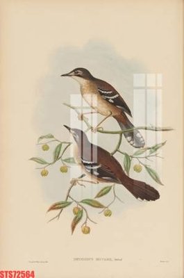 Tải file Tranh sơn dầu phương tây tổng hợp STS72564 (ảnh gốc) in tranh kính