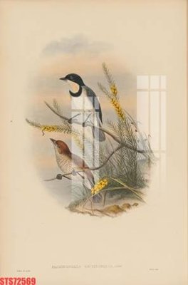 Download file gốc Tranh sơn dầu phương tây tổng hợp STS72569 (in mica) trong suốt