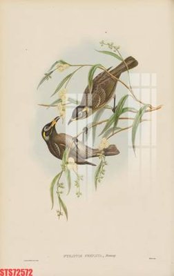 Tải file gốc Tranh sơn dầu phương tây tổng hợp STS72572 dùng cho in ấn