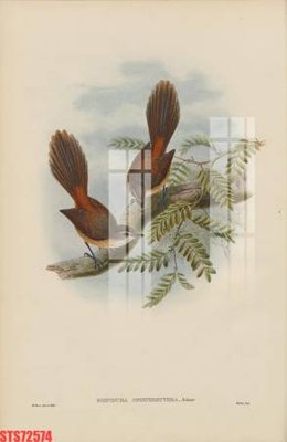 File gốc Tranh sơn dầu phương tây tổng hợp STS72574 (ảnh chi tiết) để in ấn