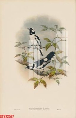 File gốc Tranh sơn dầu phương tây tổng hợp STS72577 (PSD/TIFF) độ phân giải cao