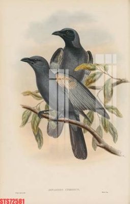 Tải xuống file tranh gốc Tranh sơn dầu phương tây tổng hợp STS72581 (PSD/TIFF)