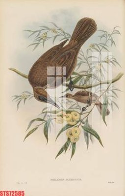 File tranh Tranh sơn dầu phương tây tổng hợp STS72585 (gốc) in backlit film