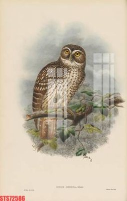 Hình ảnh file gốc Tranh sơn dầu phương tây tổng hợp STS72586 cho in UV