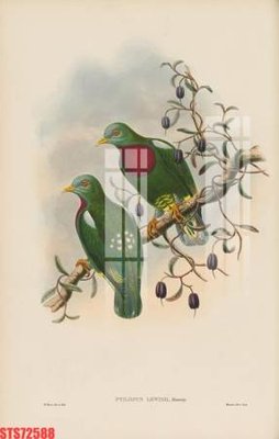 Tải file Tranh sơn dầu phương tây tổng hợp STS72588 (gốc) làm file tranh quảng cáo