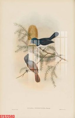 File tranh gốc in trần nhà Tranh sơn dầu phương tây tổng hợp STS72593 3D