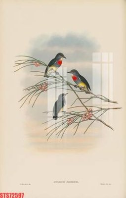 Tệp tin gốc Tranh sơn dầu phương tây tổng hợp STS72597 (dùng cho in) Tranh sơn dầu phương tây tổng hợp STS72597