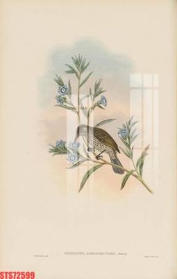 File gốc in ấn Tranh sơn dầu phương tây tổng hợp STS72599 (sẵn sàng tải về)