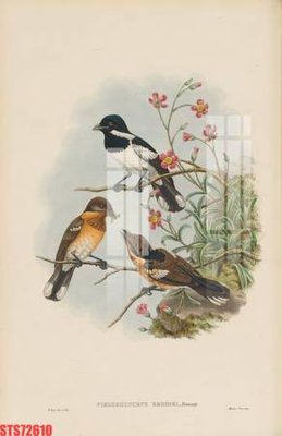 File tranh Tranh sơn dầu phương tây tổng hợp STS72610 (gốc) in film