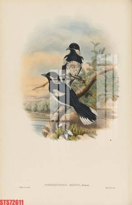 Chi tiết file ảnh Tranh sơn dầu phương tây tổng hợp STS72611 sắc nét