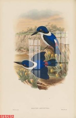 Tải file gốc Tranh sơn dầu phương tây tổng hợp STS72612 (in tráng gương) siêu đẹpFile tranh gốc Tranh sơn dầu phương tây tổng hợp STS72612 chất lượng cao