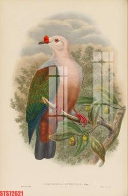 File tranh Tranh sơn dầu phương tây tổng hợp STS72621 (bản gốc) treo quán cafe