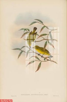 File gốc Tranh sơn dầu phương tây tổng hợp STS72625 (PSD/TIFF) độ phân giải cao