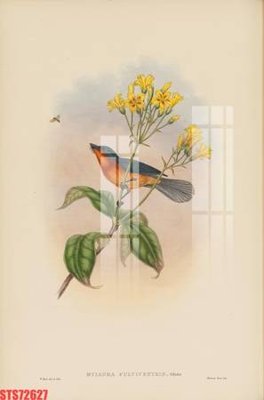 File gốc Tranh sơn dầu phương tây tổng hợp STS72627 (phong cách) cổ điển