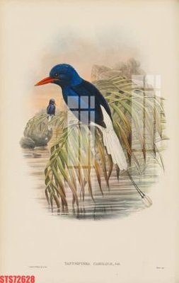 File gốc Tranh sơn dầu phương tây tổng hợp STS72628 (ảnh chi tiết) để in lụa