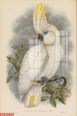 Tải file gốc Tranh sơn dầu phương tây tổng hợp STS72631 (in bạt) quảng cáo