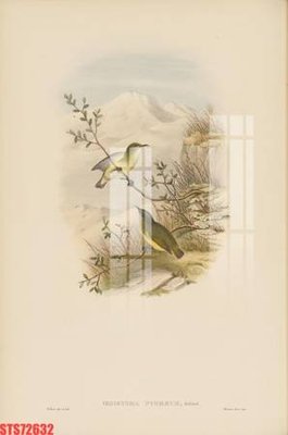 File gốc Tranh sơn dầu phương tây tổng hợp STS72632 (in lụa) trang trí tường