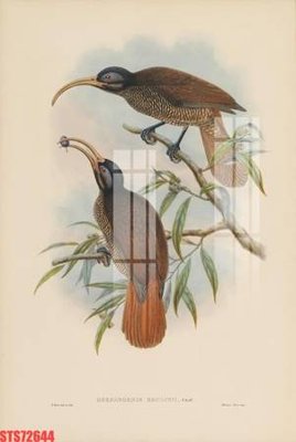 File in ấn chuyên nghiệp Tranh sơn dầu phương tây tổng hợp STS72644 (file gốc)