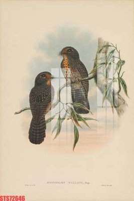 File gốc Tranh sơn dầu phương tây tổng hợp STS72646 (phong cách) tối giản