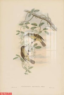 File gốc Tranh sơn dầu phương tây tổng hợp STS72649 (in ấn) màu sắc trung thực