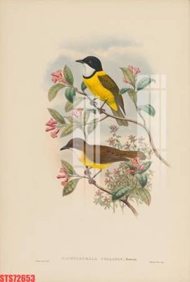 File PSD Tranh sơn dầu phương tây tổng hợp STS72653 (bản gốc) chất lượng nhất