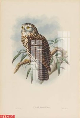 Download file gốc Tranh sơn dầu phương tây tổng hợp STS72658 (in lụa) nghệ thuật