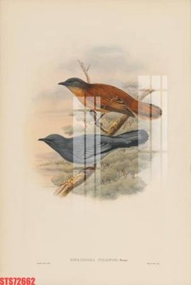 File PSD Tranh sơn dầu phương tây tổng hợp STS72662 (gốc) nhiều lớp (multi-layer)