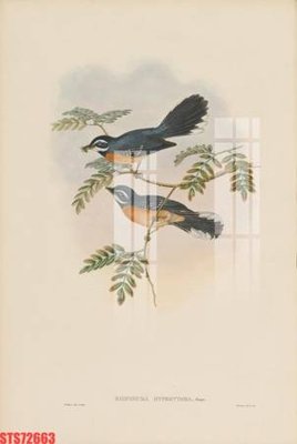 Tải file Tranh sơn dầu phương tây tổng hợp STS72663 (PSD) cho in tranh kính