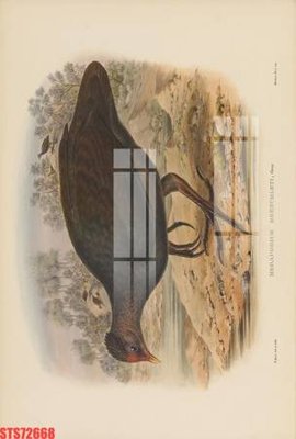 File ảnh Tranh sơn dầu phương tây tổng hợp STS72668 (gốc) cho trang trí nội thất