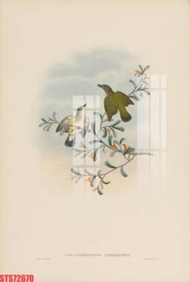 Tải file gốc Tranh sơn dầu phương tây tổng hợp STS72670 (in không vỡ ảnh)