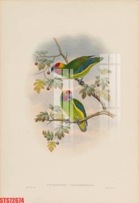 File tranh Tranh sơn dầu phương tây tổng hợp STS72674 (bản gốc) trang trí văn phòng