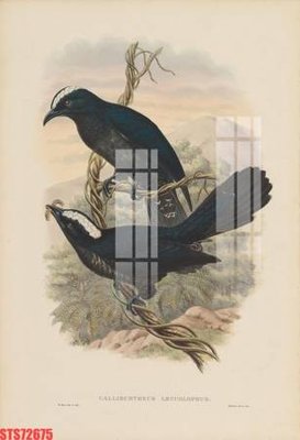 Tải file gốc Tranh sơn dầu phương tây tổng hợp STS72675 (in bạt) quảng cáo