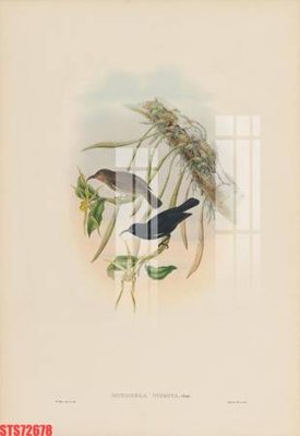 Tải file gốc in lụa Tranh sơn dầu phương tây tổng hợp STS72678 siêu nét