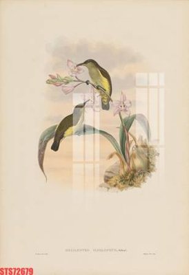 Tải file Tranh sơn dầu phương tây tổng hợp STS72679 (gốc) làm file in ấn