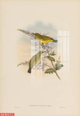 File in trần Tranh sơn dầu phương tây tổng hợp STS72680 (file gốc) hoa văn 3D