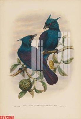 File gốc Tranh sơn dầu phương tây tổng hợp STS72681 (in lụa) tranh phong thủy