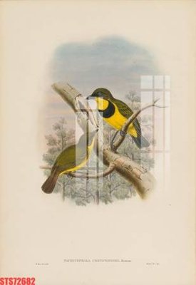 File tranh Tranh sơn dầu phương tây tổng hợp STS72682 (gốc) in vải canvas