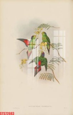 Chi tiết file gốc Tranh sơn dầu phương tây tổng hợp STS72683 (cho in tráng gương)