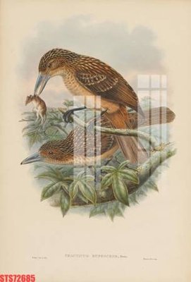 File gốc Tranh sơn dầu phương tây tổng hợp STS72685 (in lụa) hoa văn cổ điển