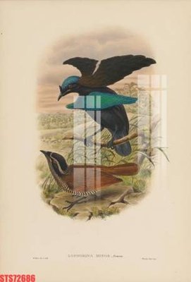 File tranh trang trí Tranh sơn dầu phương tây tổng hợp STS72686 (tải file gốc)